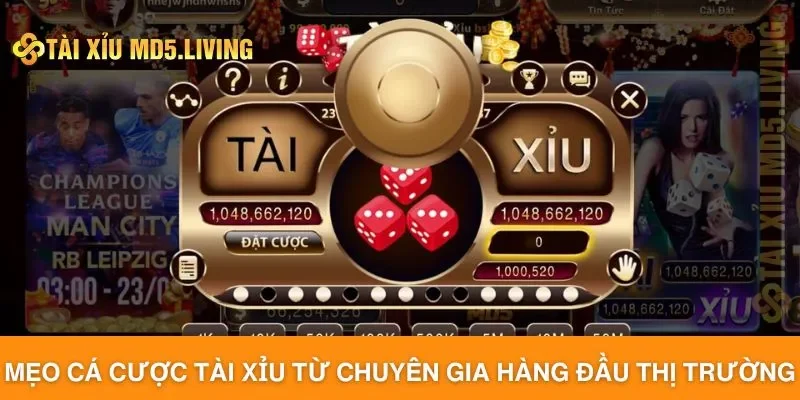 Mẹo cá cược tài xỉu từ chuyên gia hàng đầu thị trường