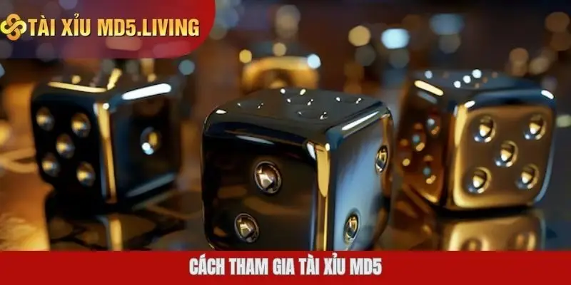 Cách tham gia tài xỉu MD5